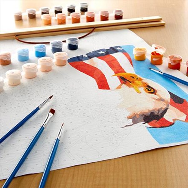 bald eagle paint by number kit in progress